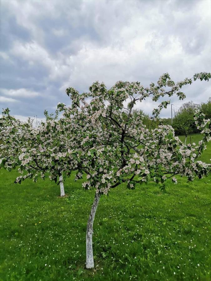 Villa Lana Bihać Eksteriør billede